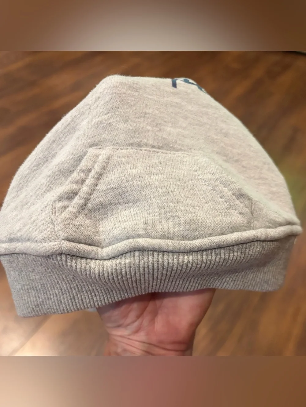 Champion Dog Hoodie Sweatshirt, Light Heather Gray, Size XS